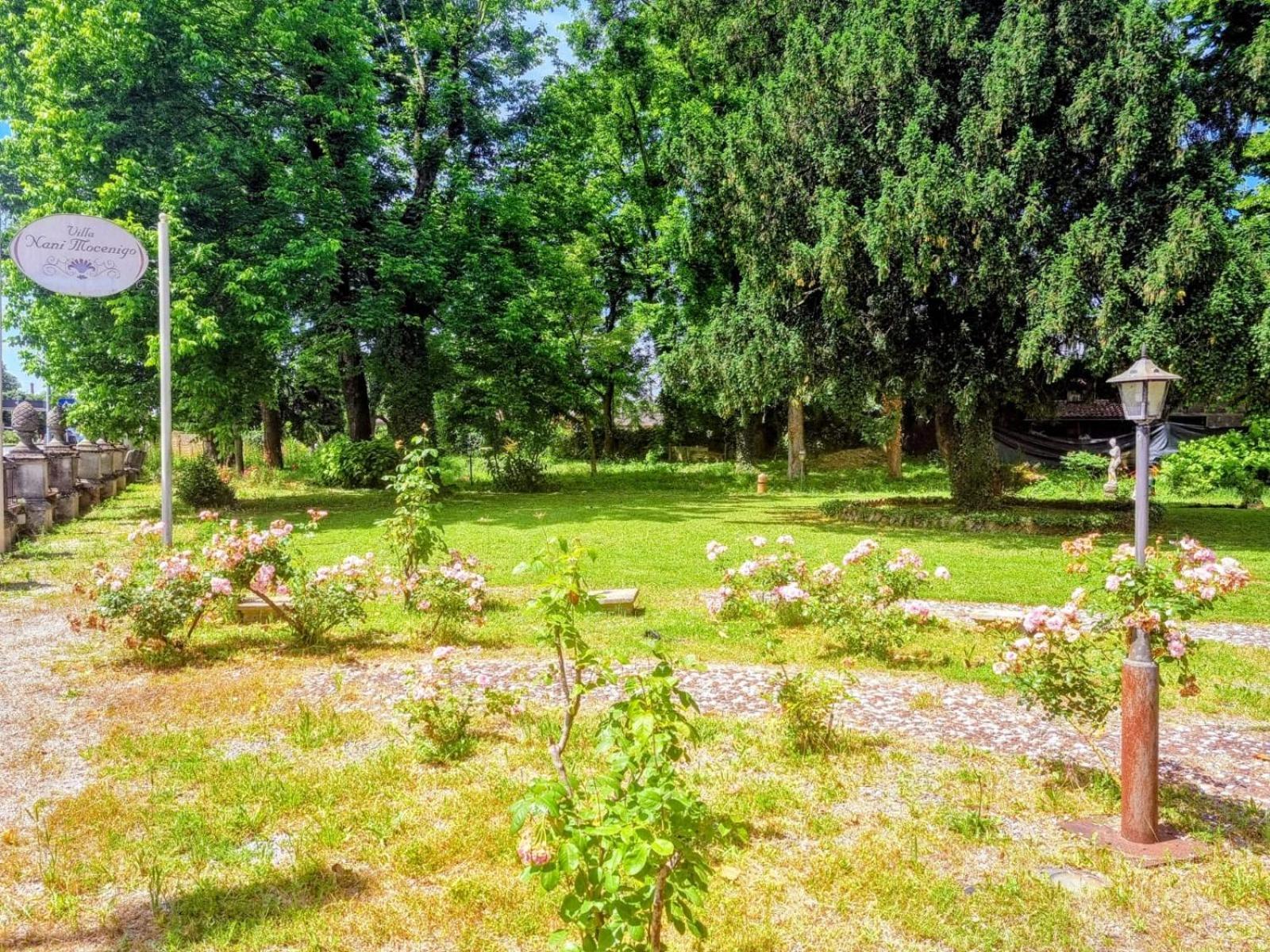 Villa Nani Mocenigo Dolo Exteriér fotografie